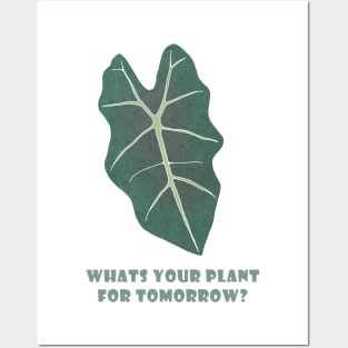 What is your plant for tomorrow? Posters and Art